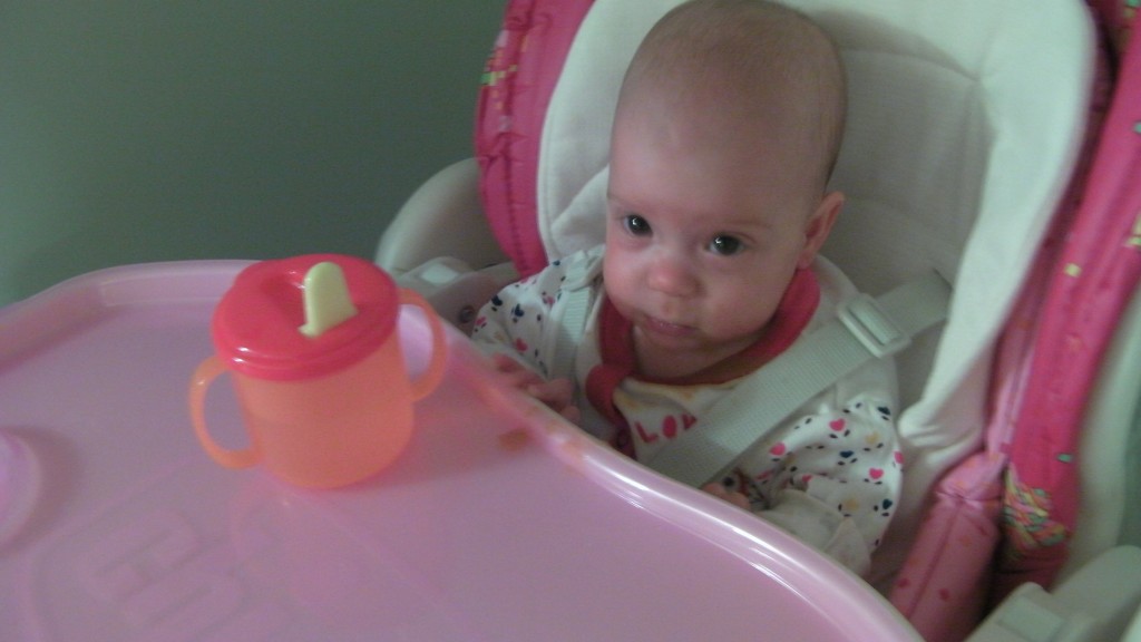 Polly Magic!