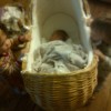 Then There Were Three!!