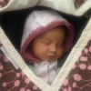 IMG00196-20120508-1722