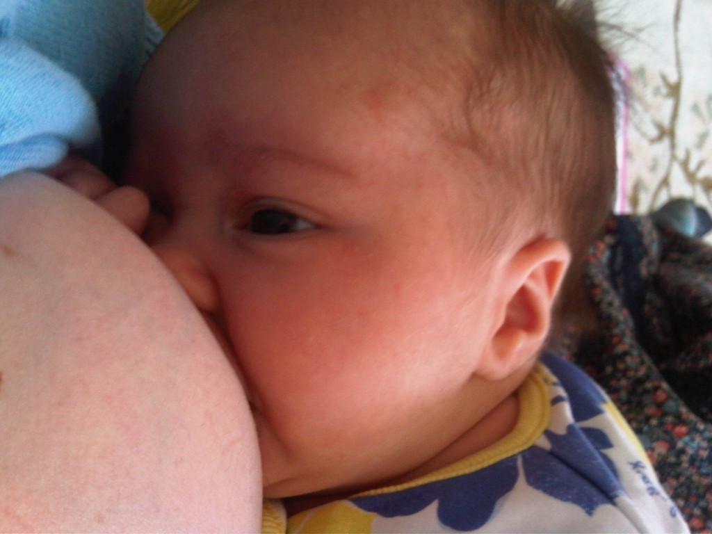IMG00603-20120606-1147