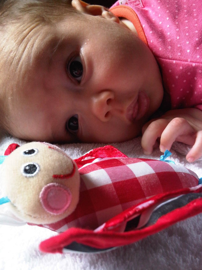 IMG00696-20120702-1425