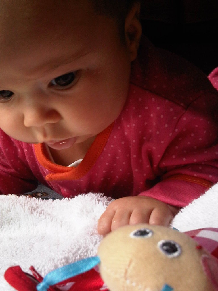 IMG00699-20120702-1426