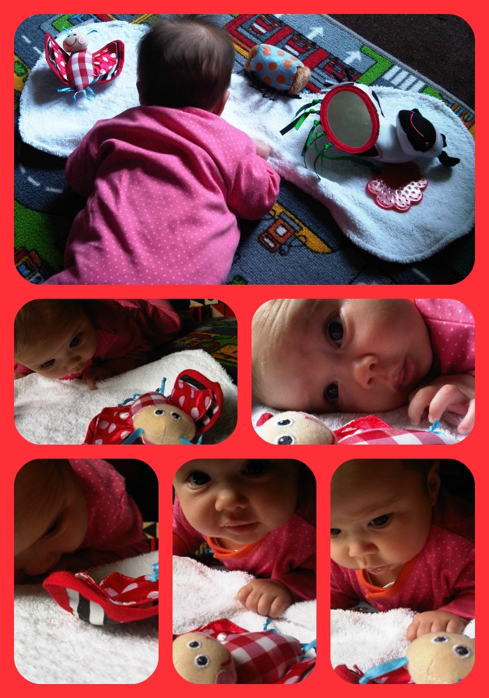 photoaday2
