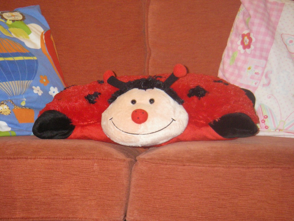 valentine pillow pets