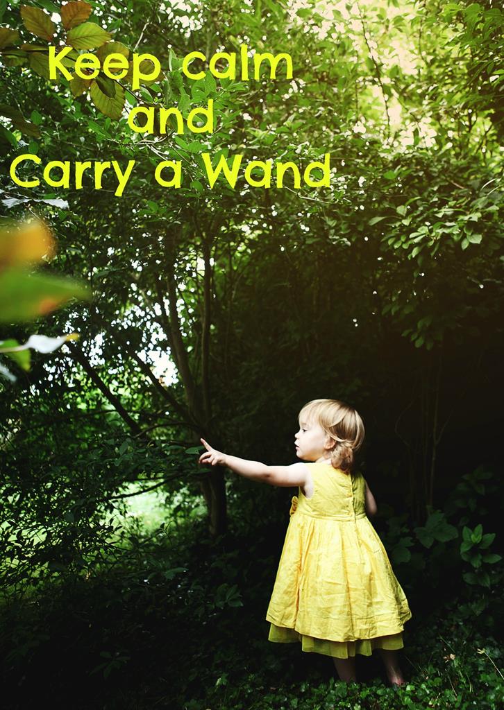 carry a wand