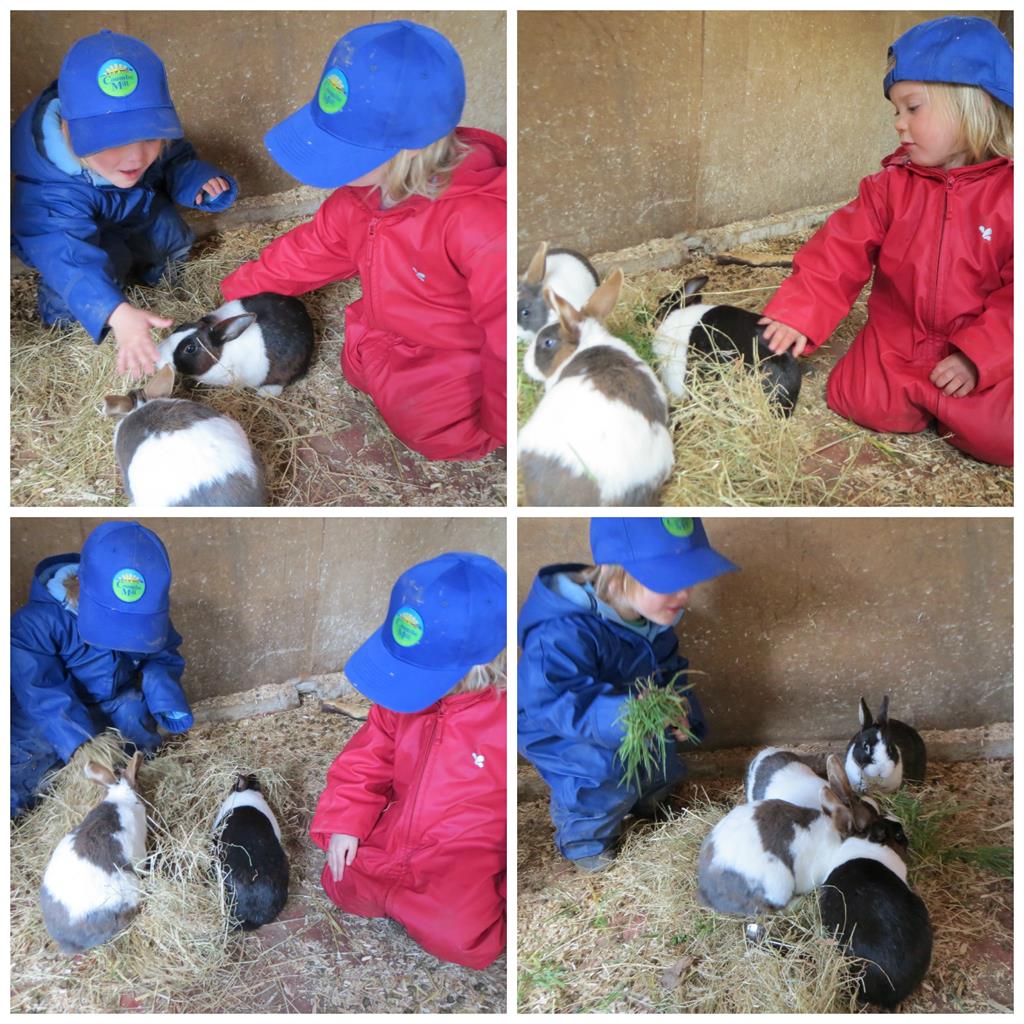 Rabbits at Coombe Mill 