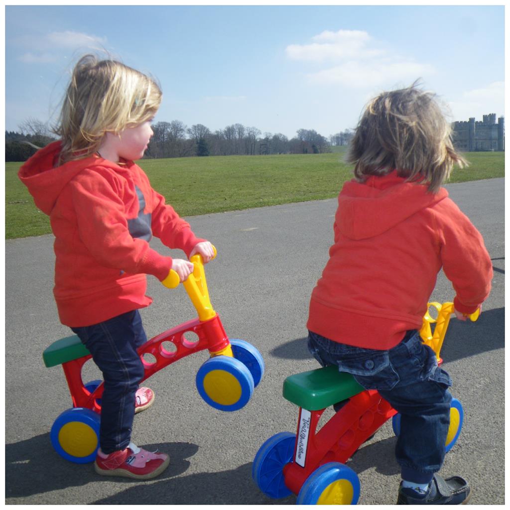 toddle bike twins