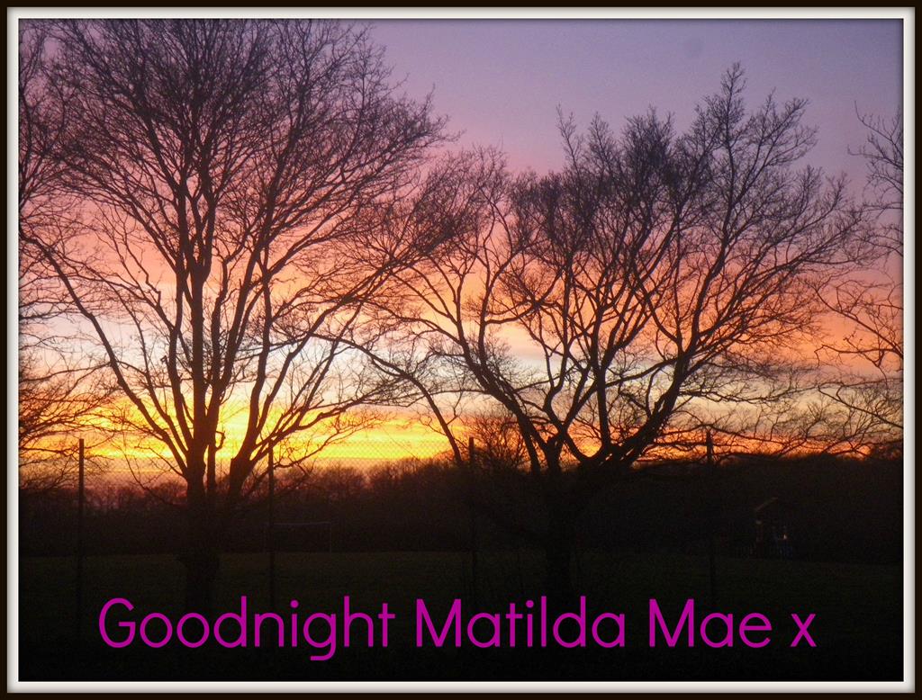 goodnight tilda mae