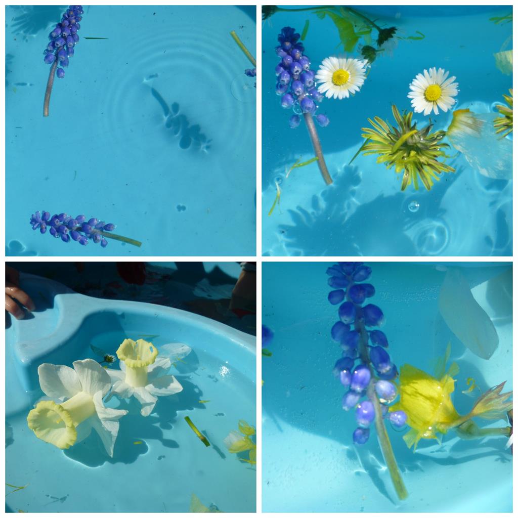 flower water 1