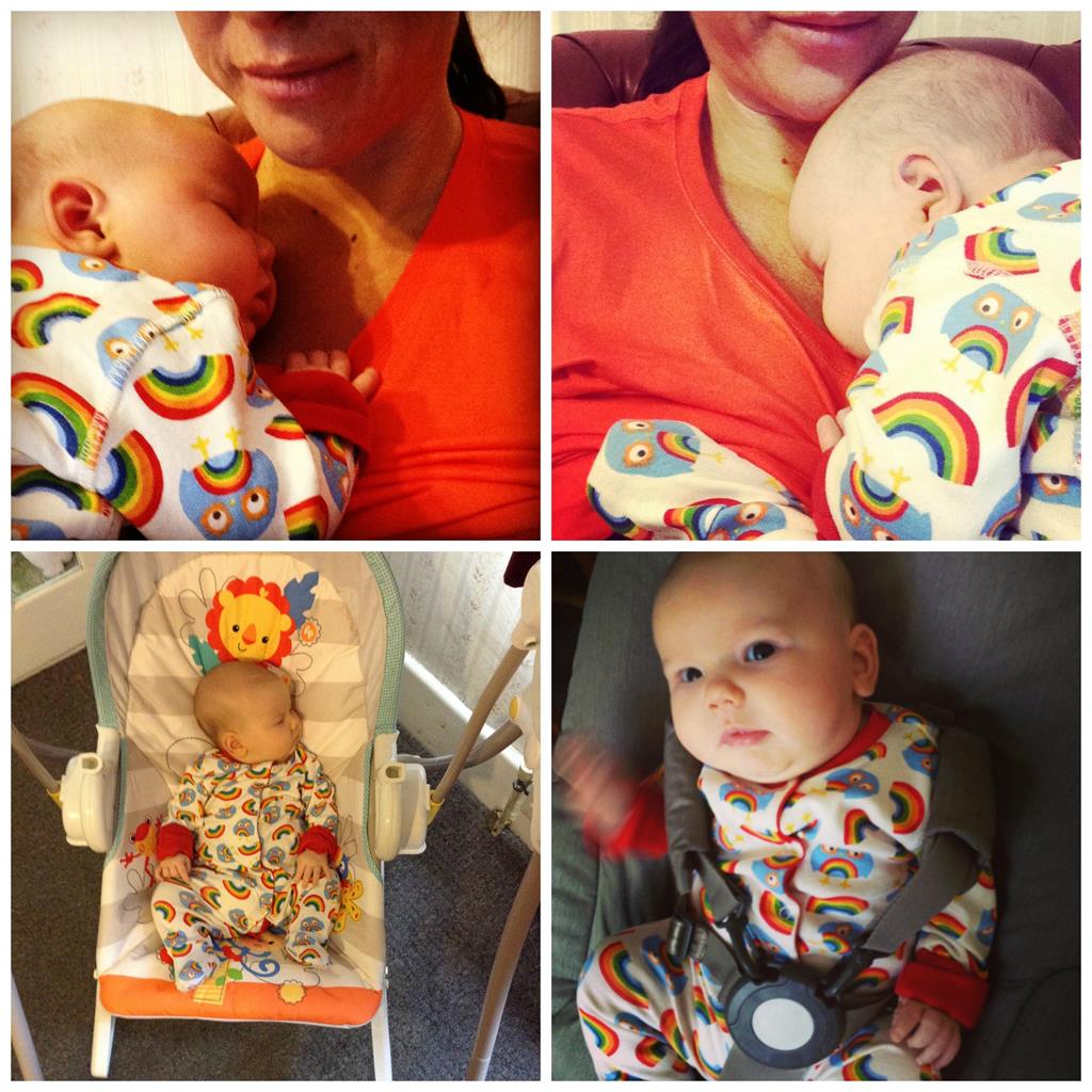 frugi rainbows