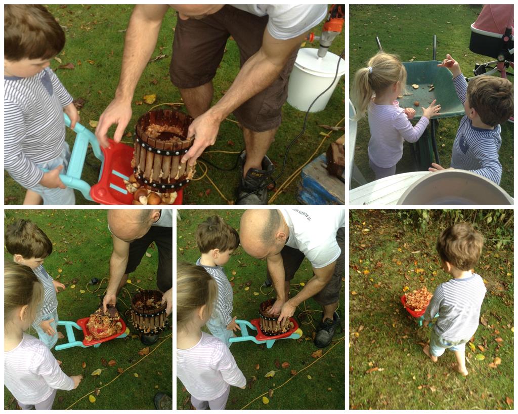 wheelbarrow work