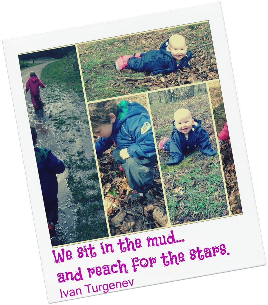 mud stars