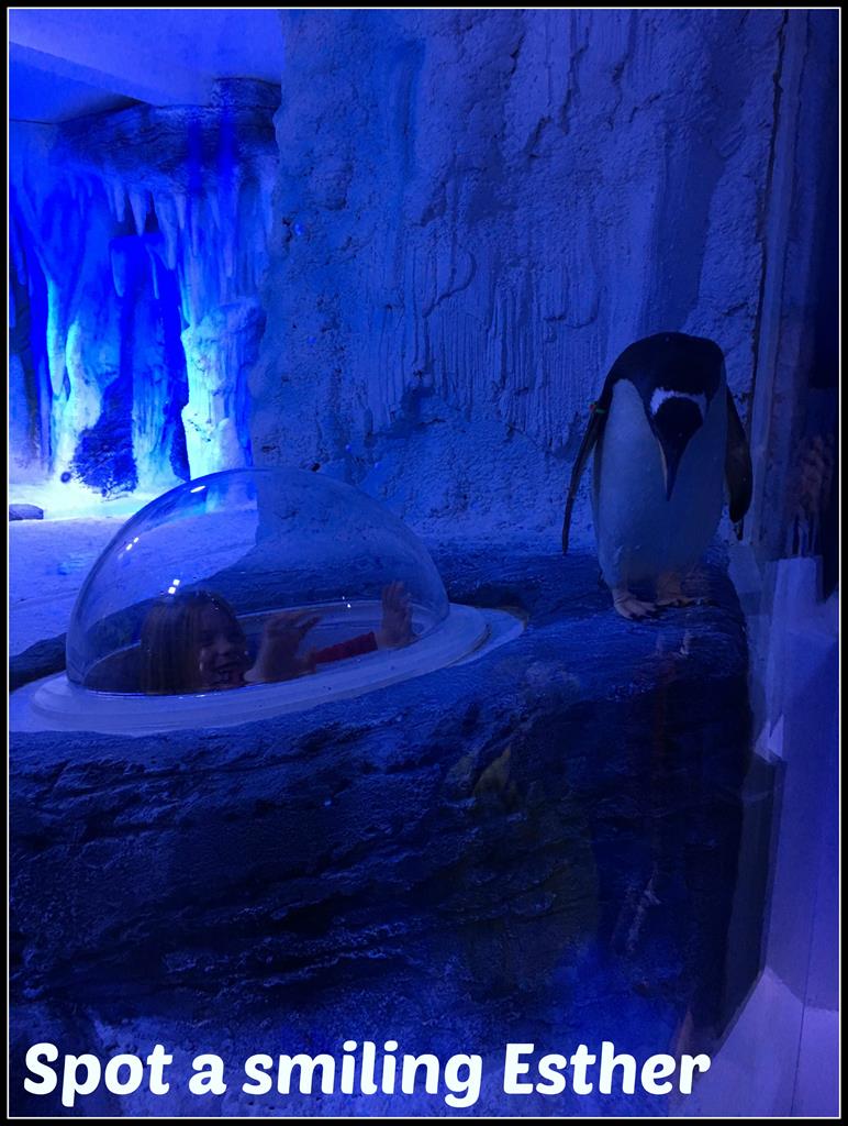 london penguin 3
