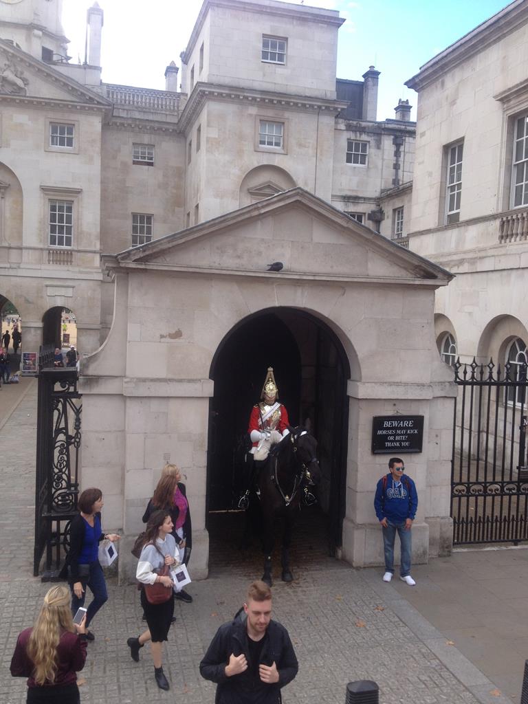 horse guard