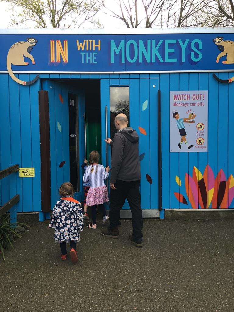 in with the monkeys