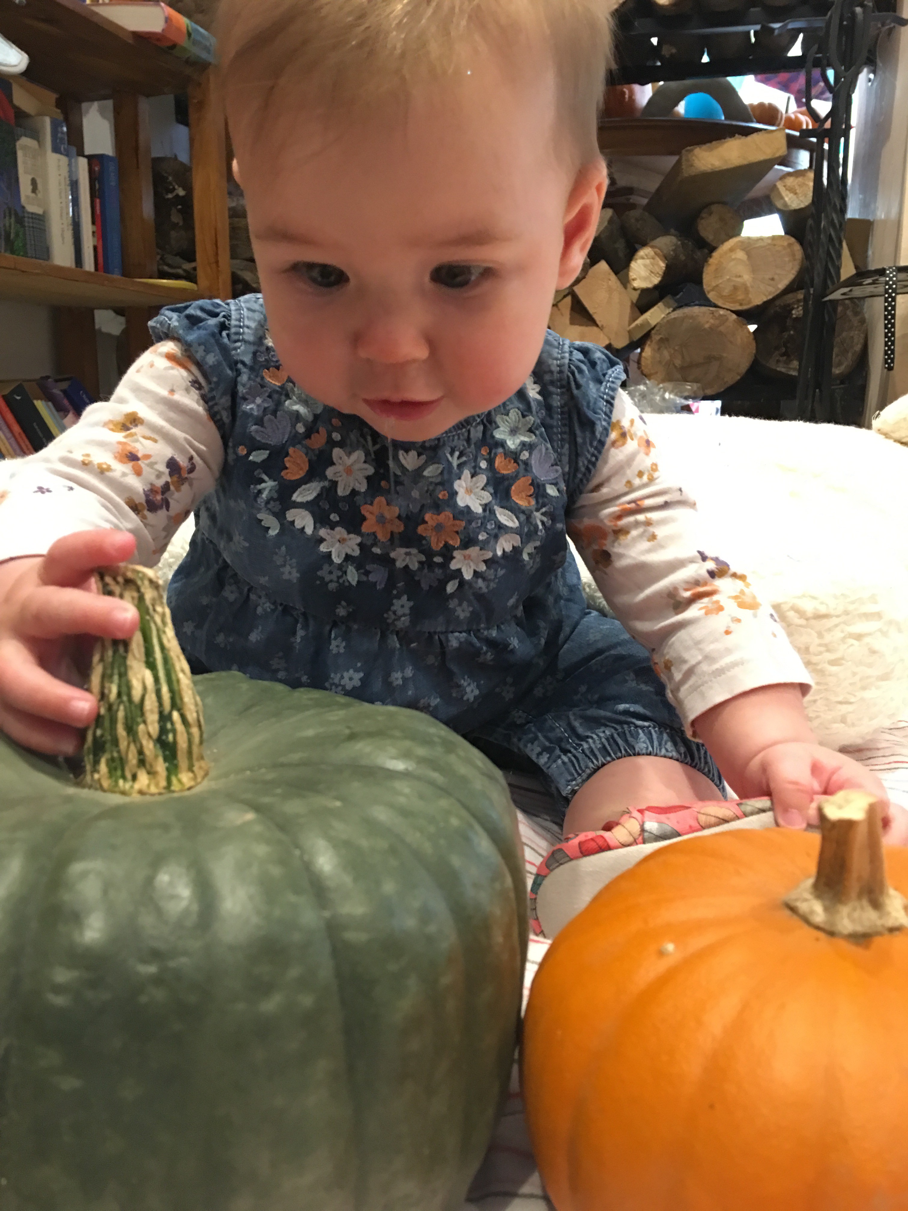 pumpkin play