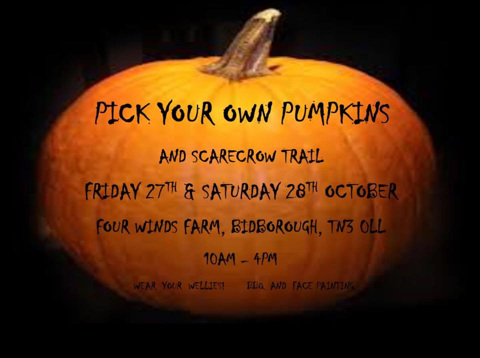 PUMPKIN BIDBOROUGH