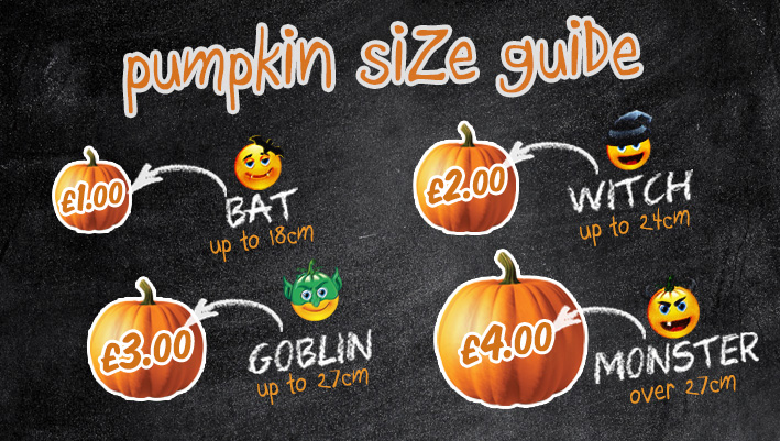 pumpkin ashford size guide