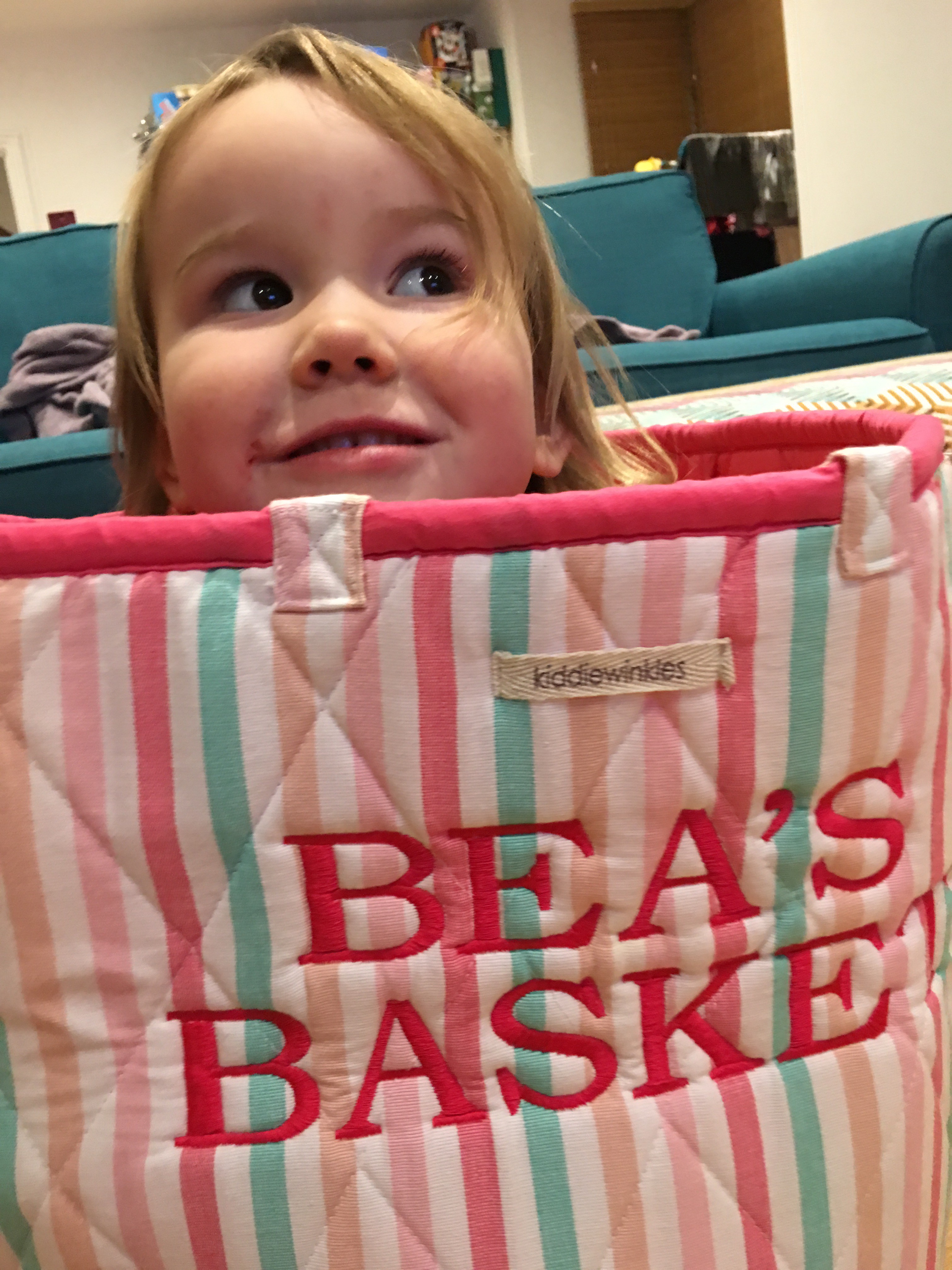 basket case