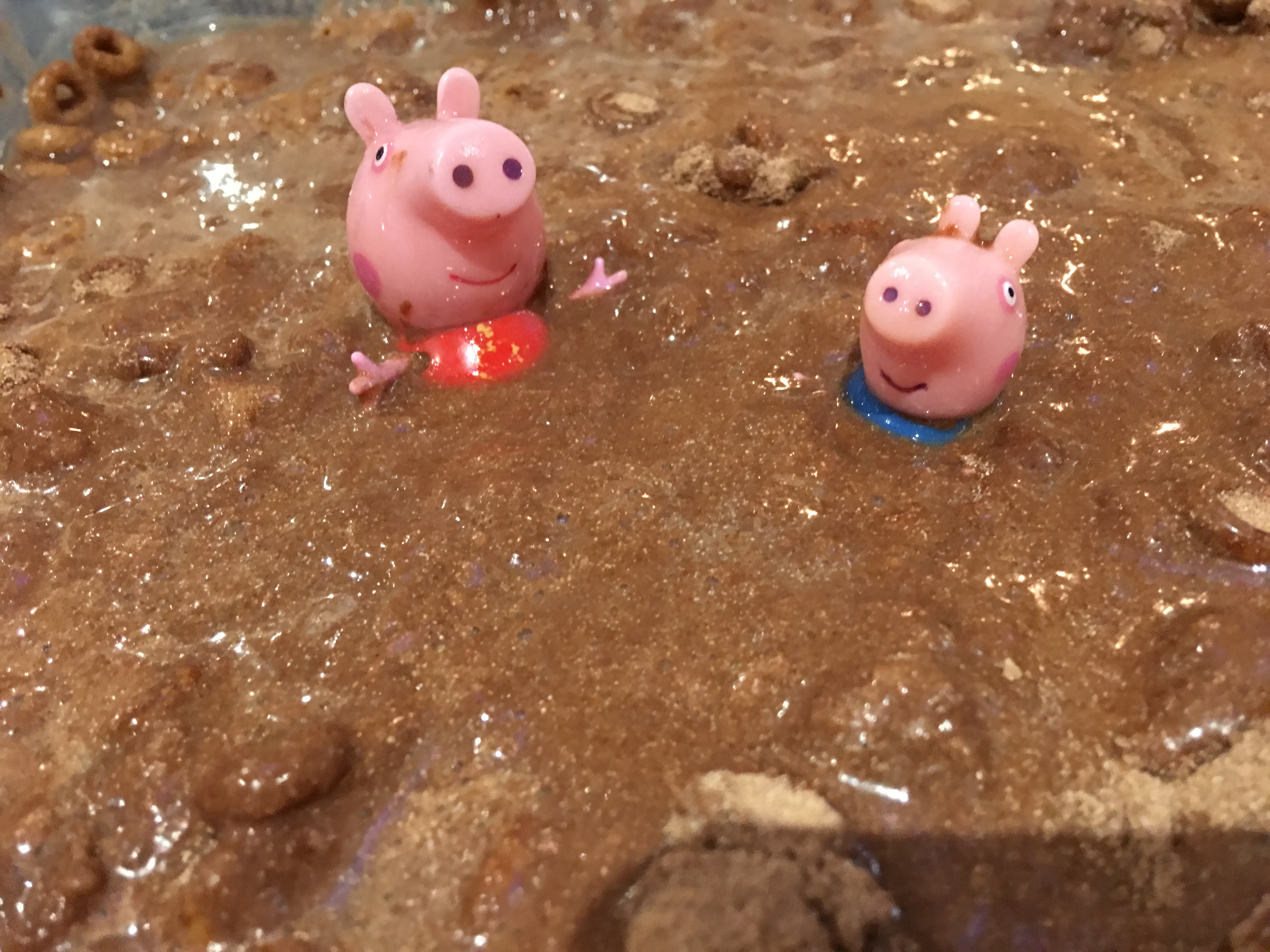 pigs in mud