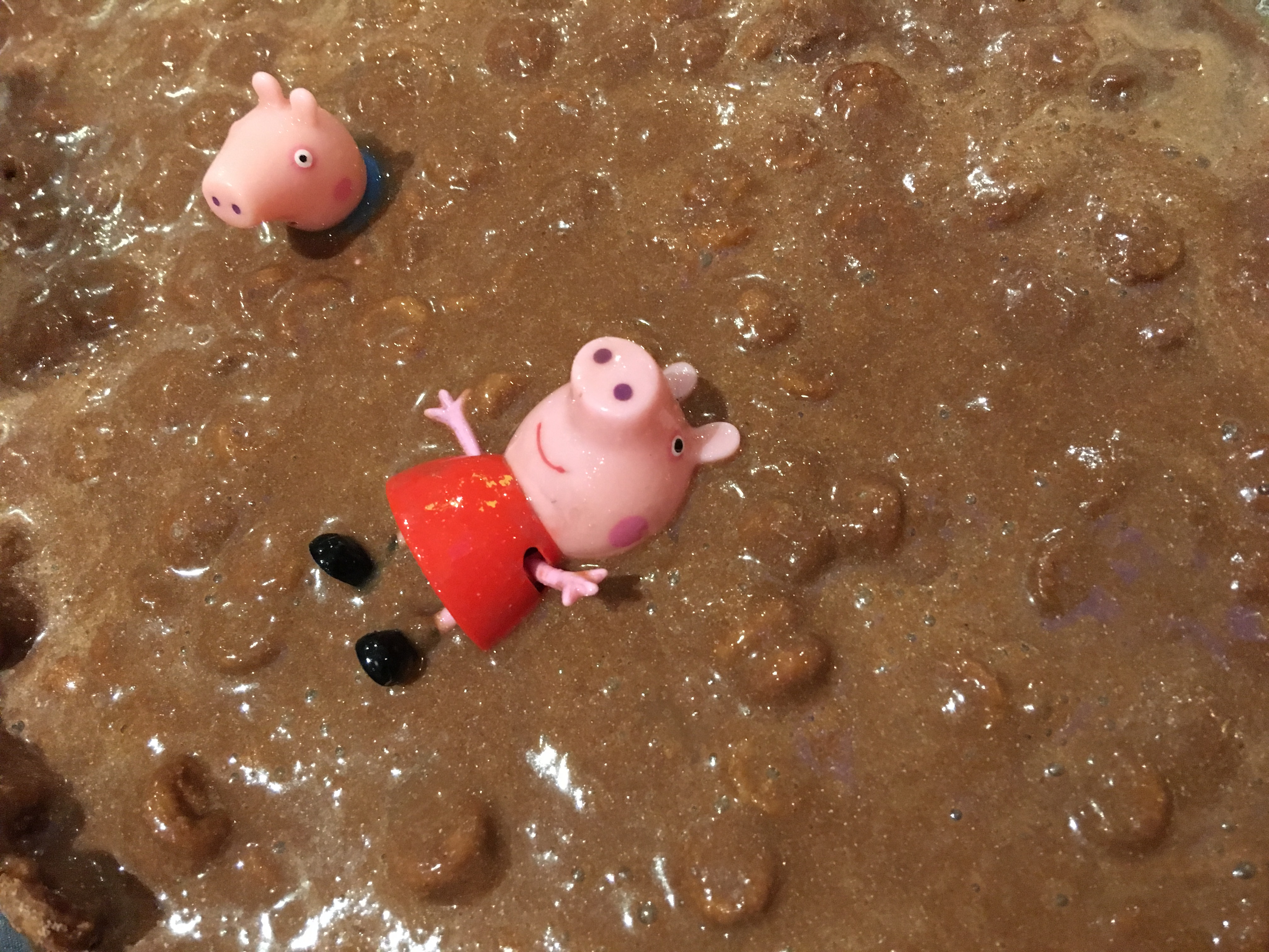 mud play pigs