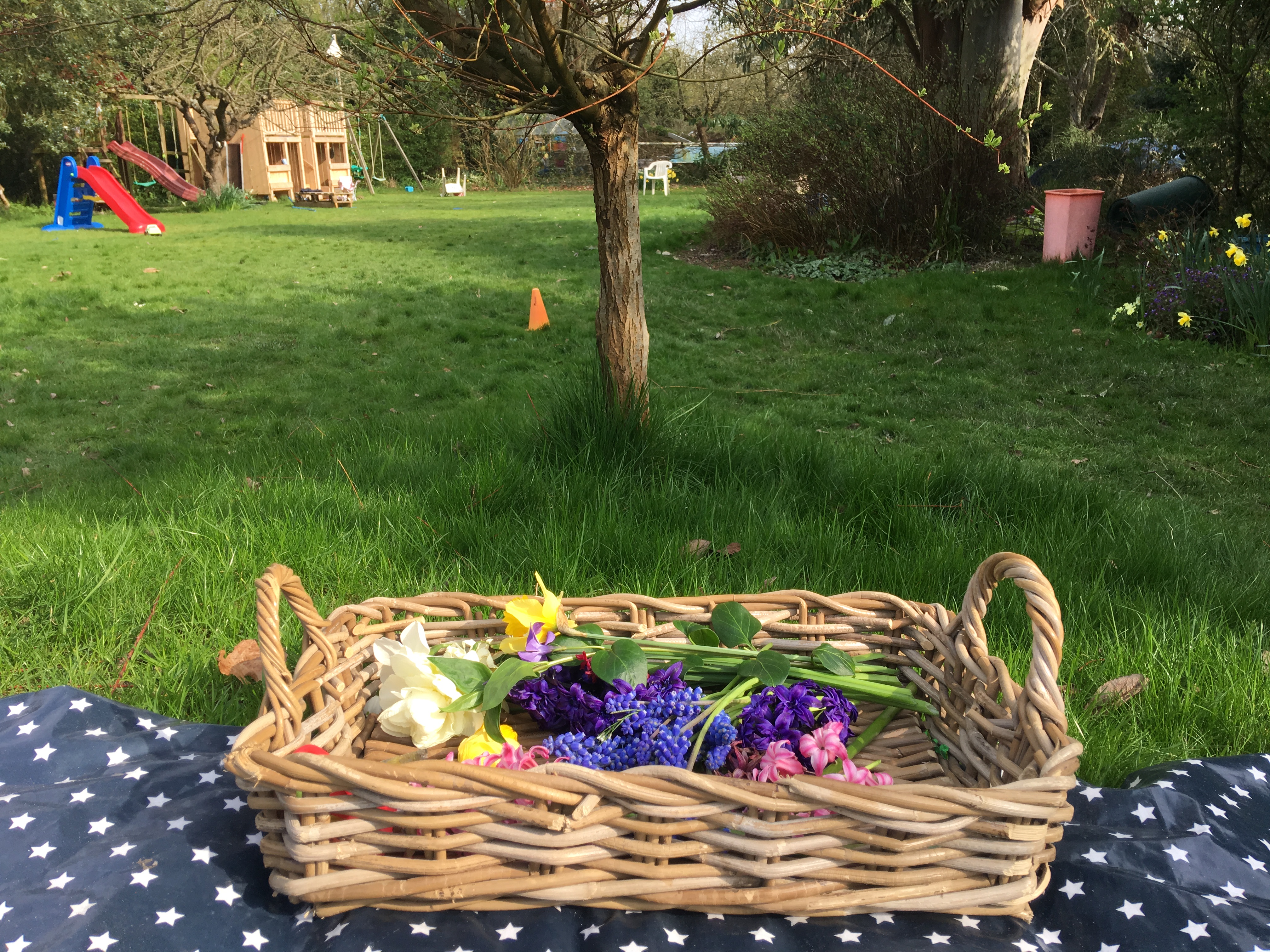 flower cutting tray