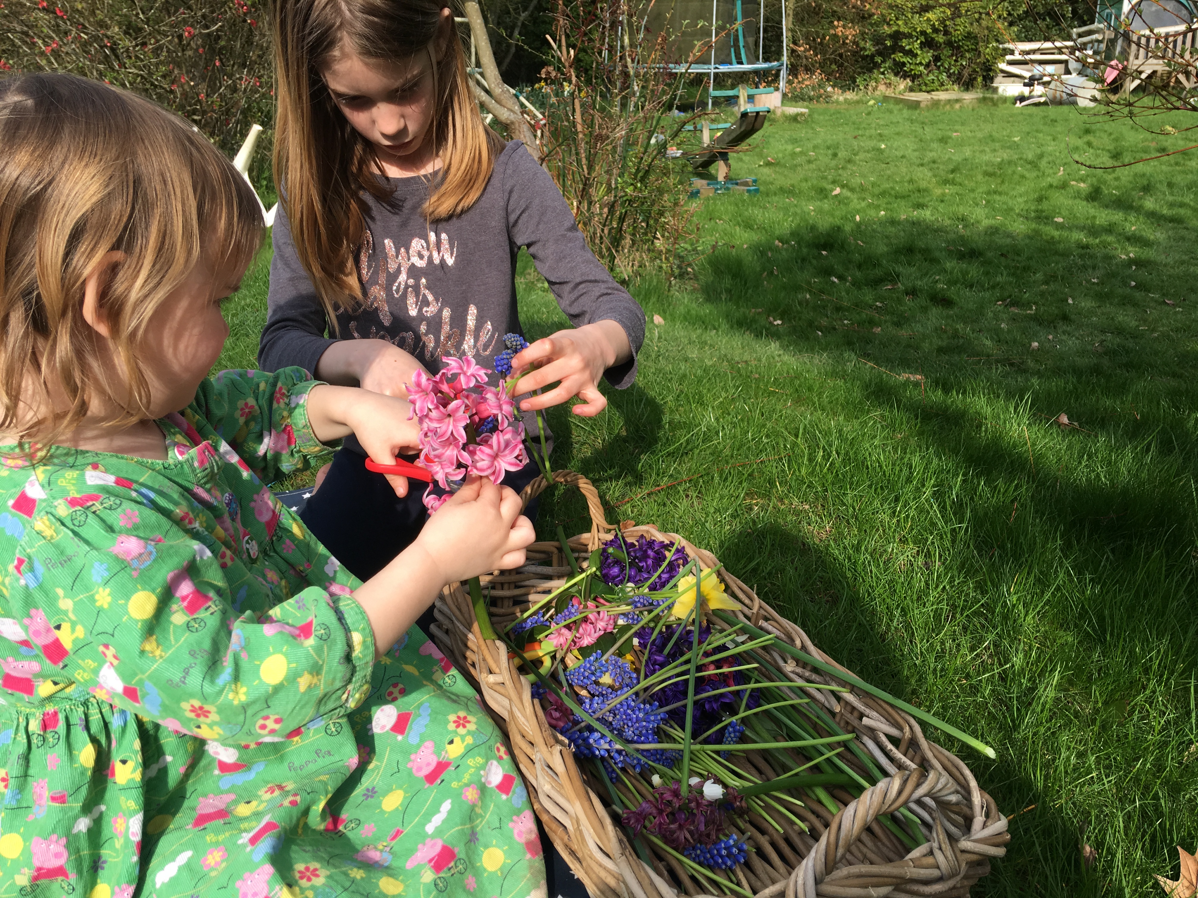 petal plucking