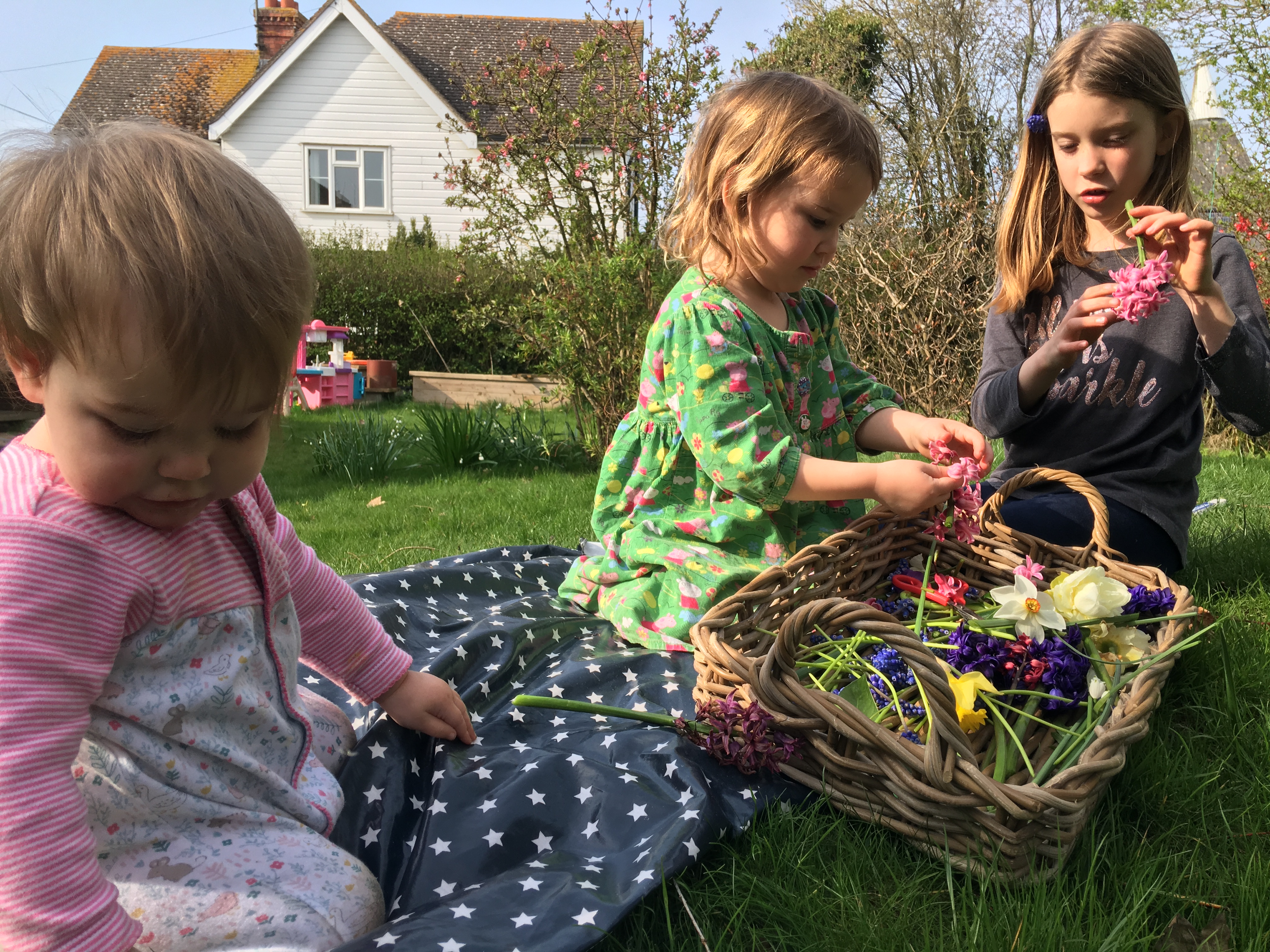 flower tray together 