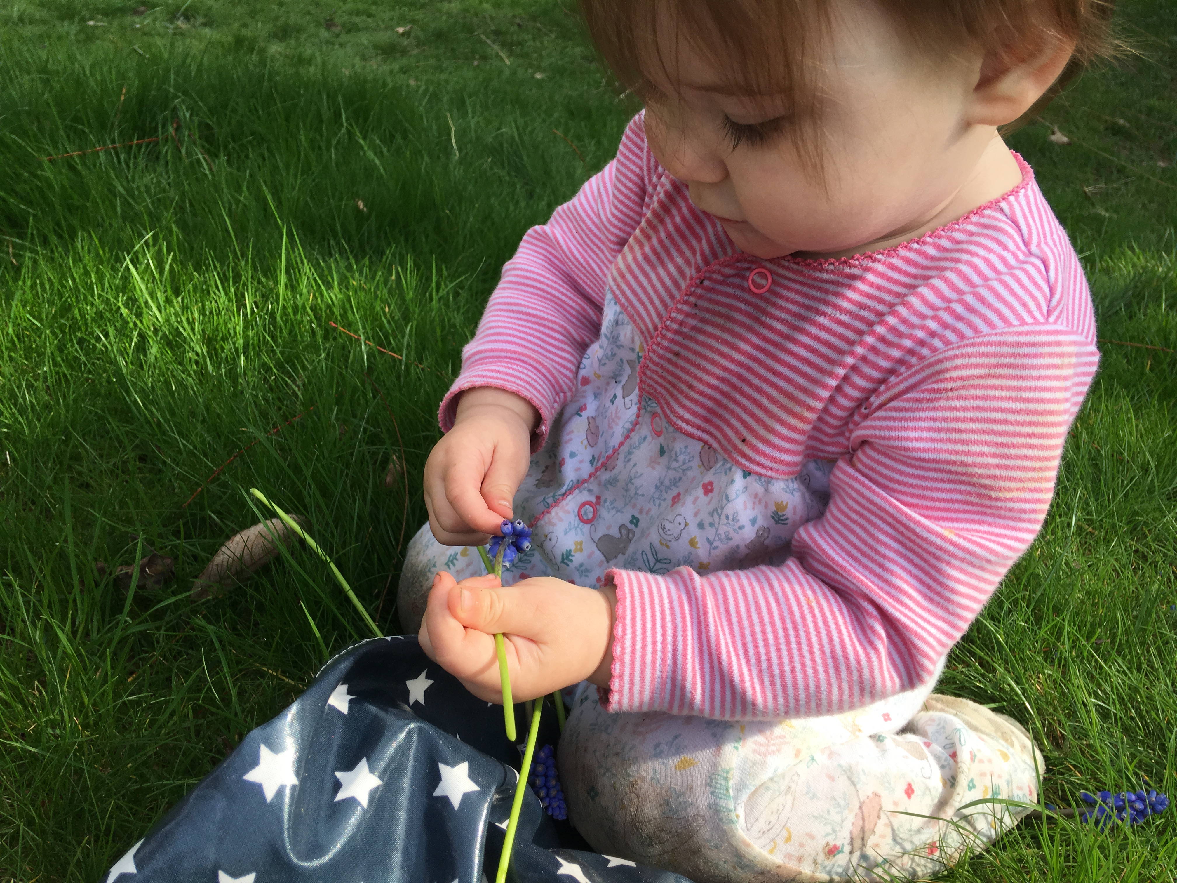 sensory play flowers 