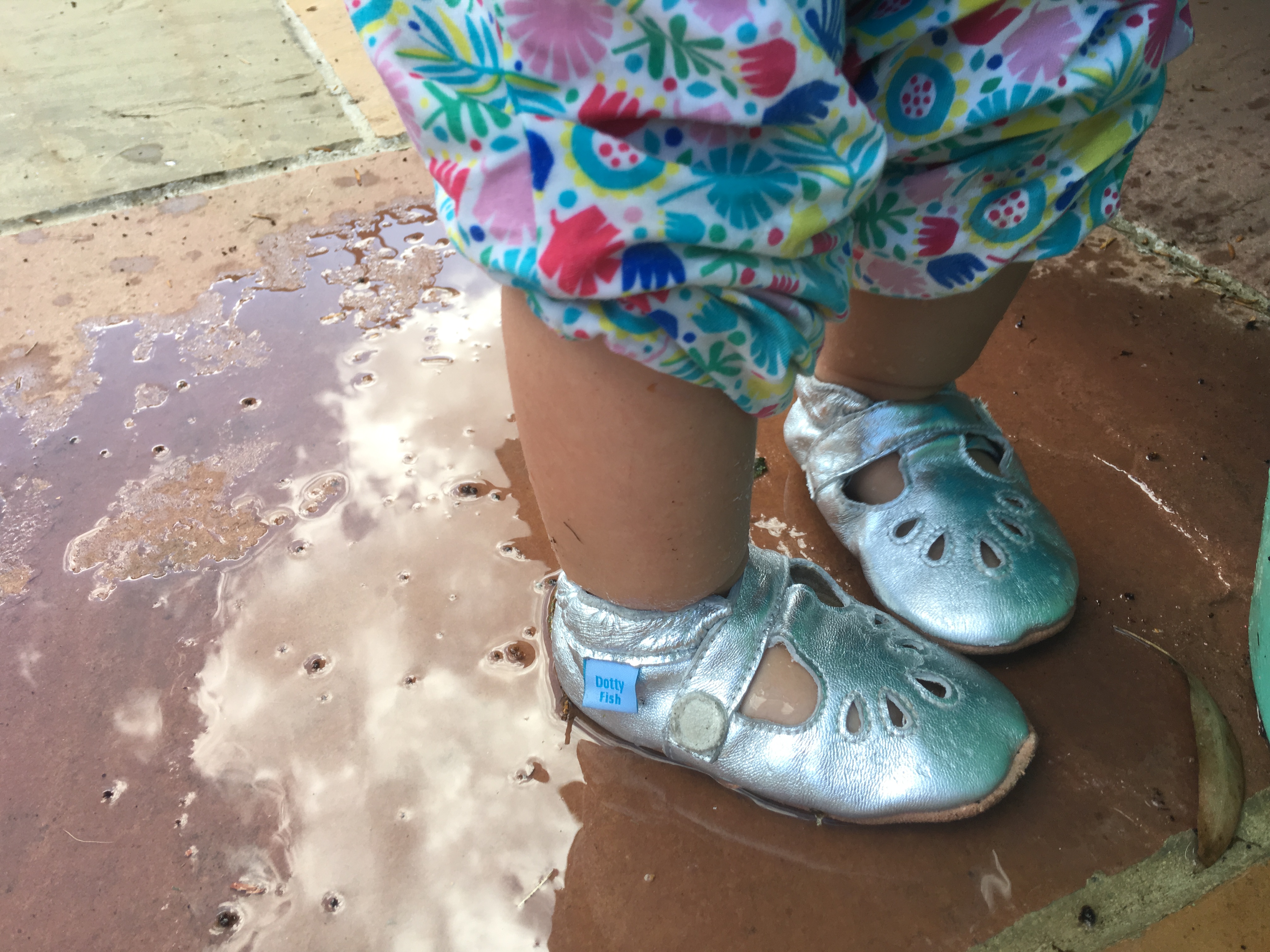 dotty fish baby shoes