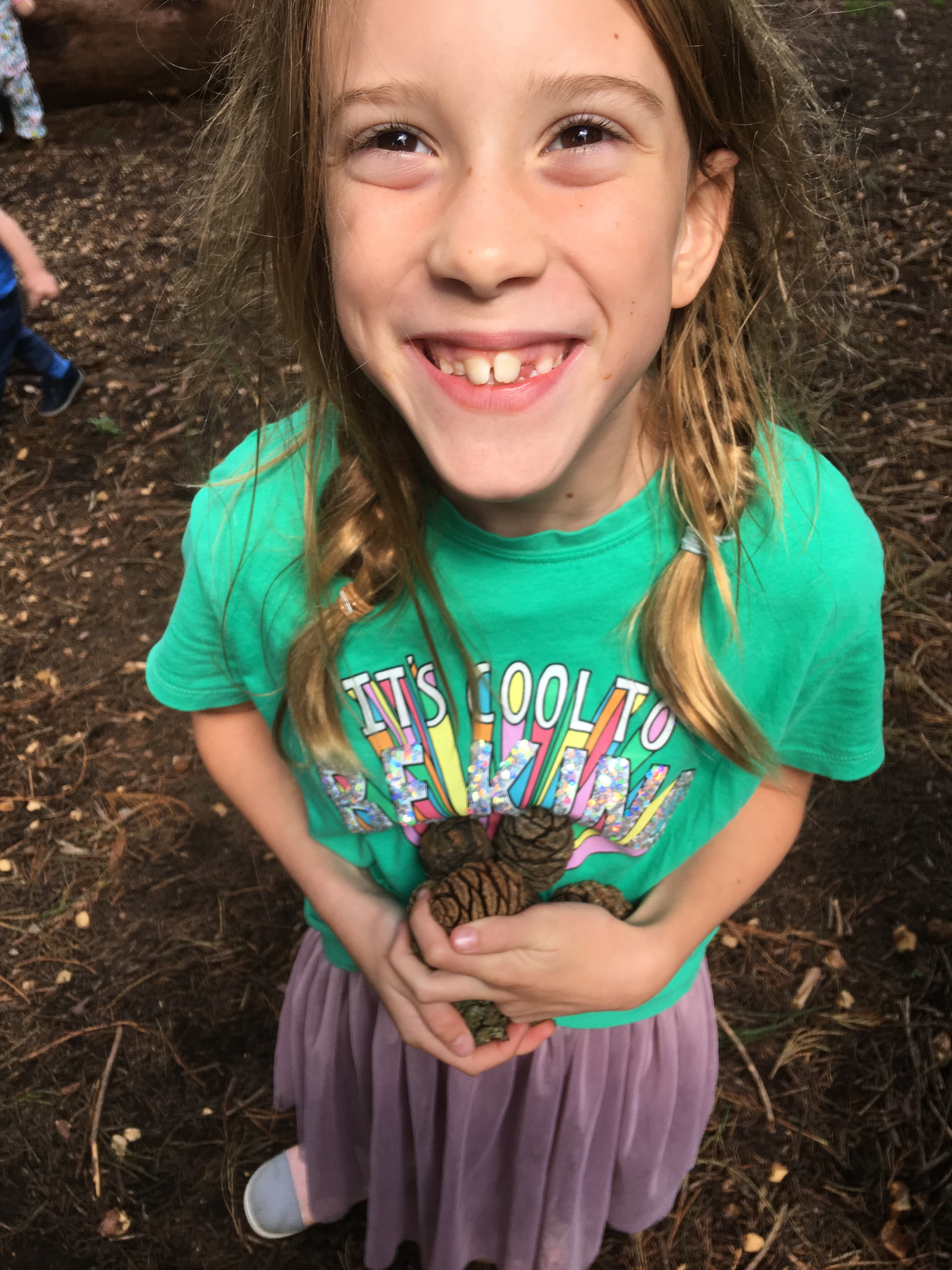 Picking Pinecones