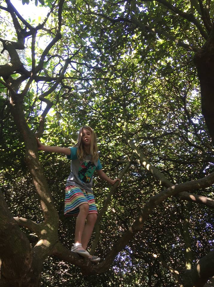 Climbing Trees