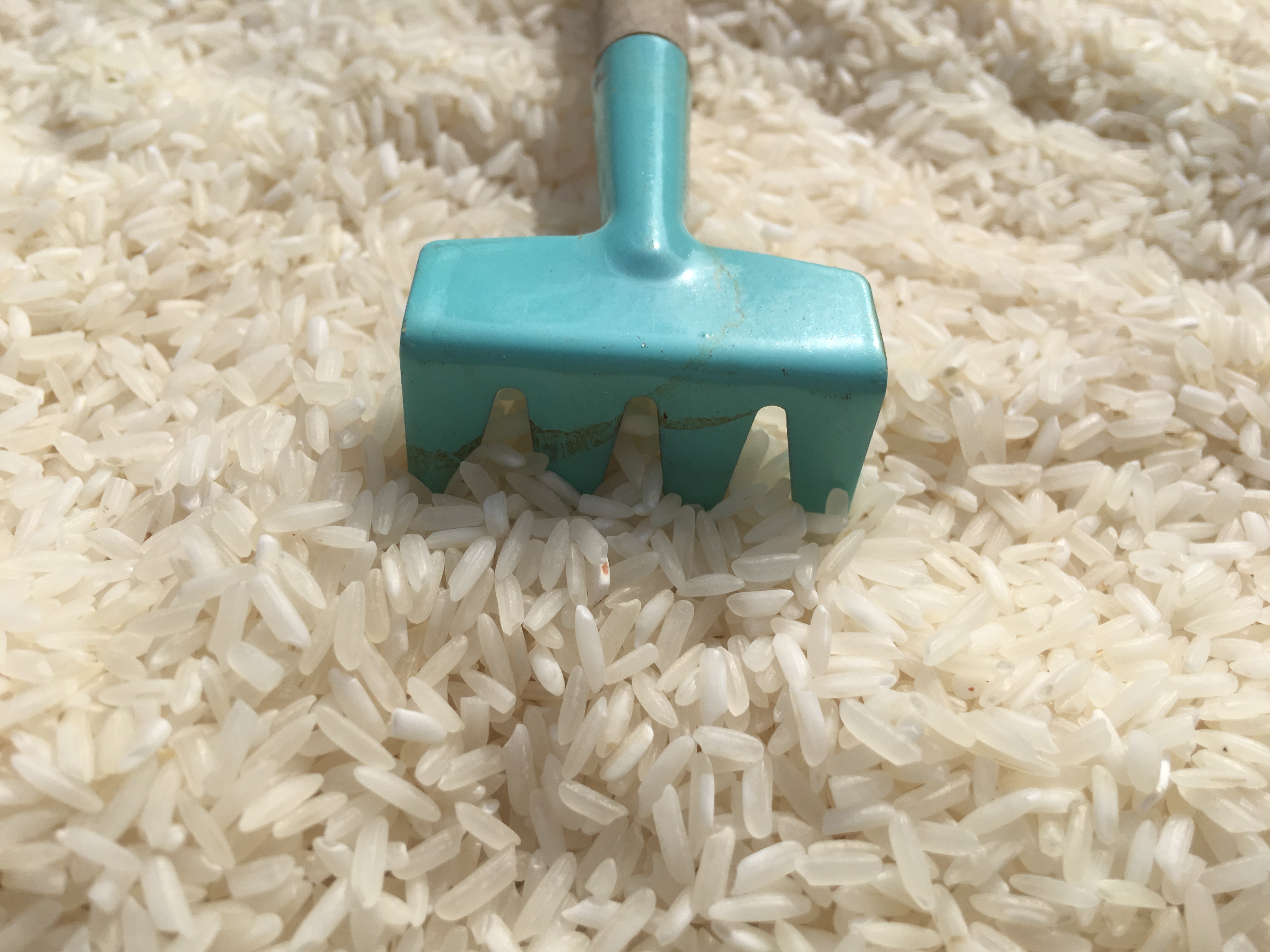 rice rake