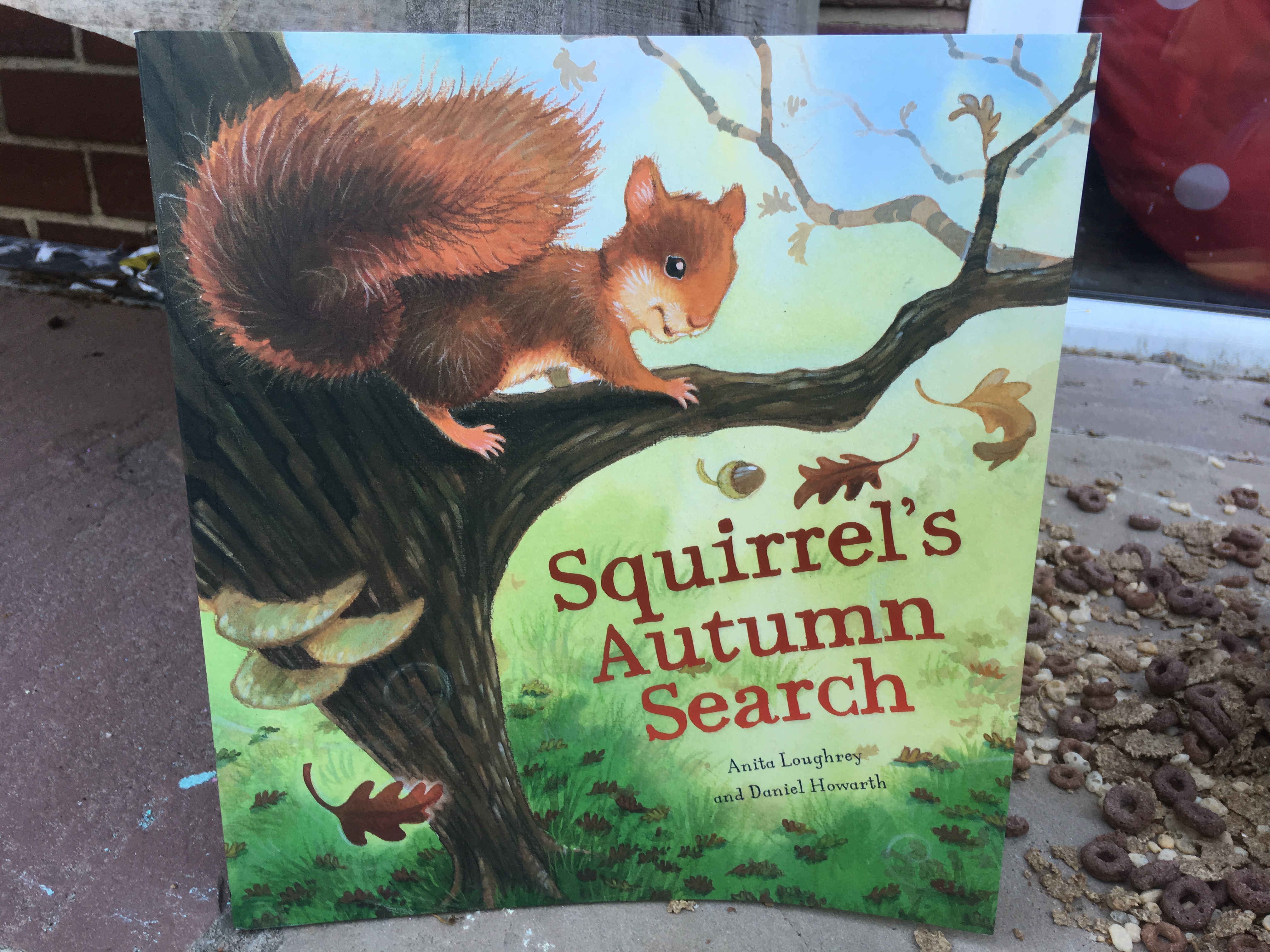 squirrels search