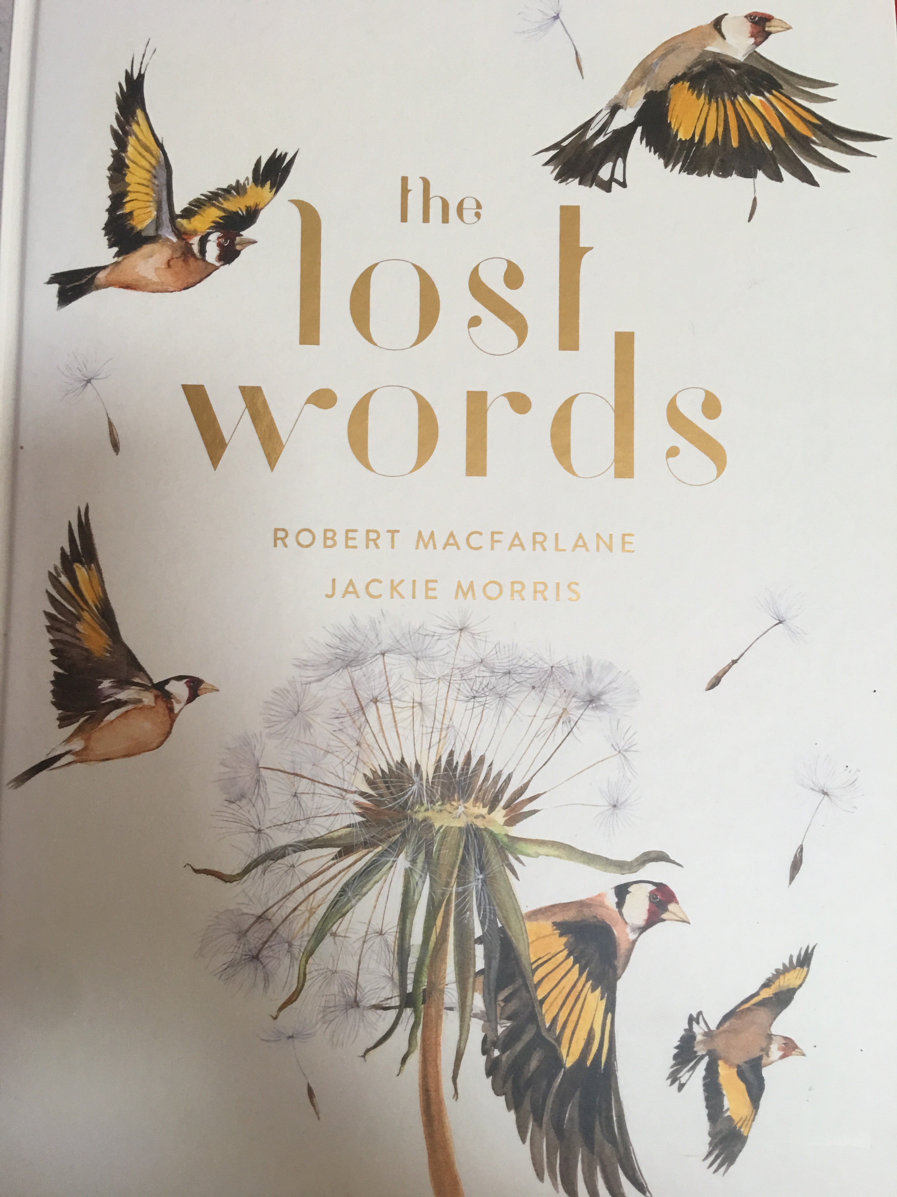 the lost words