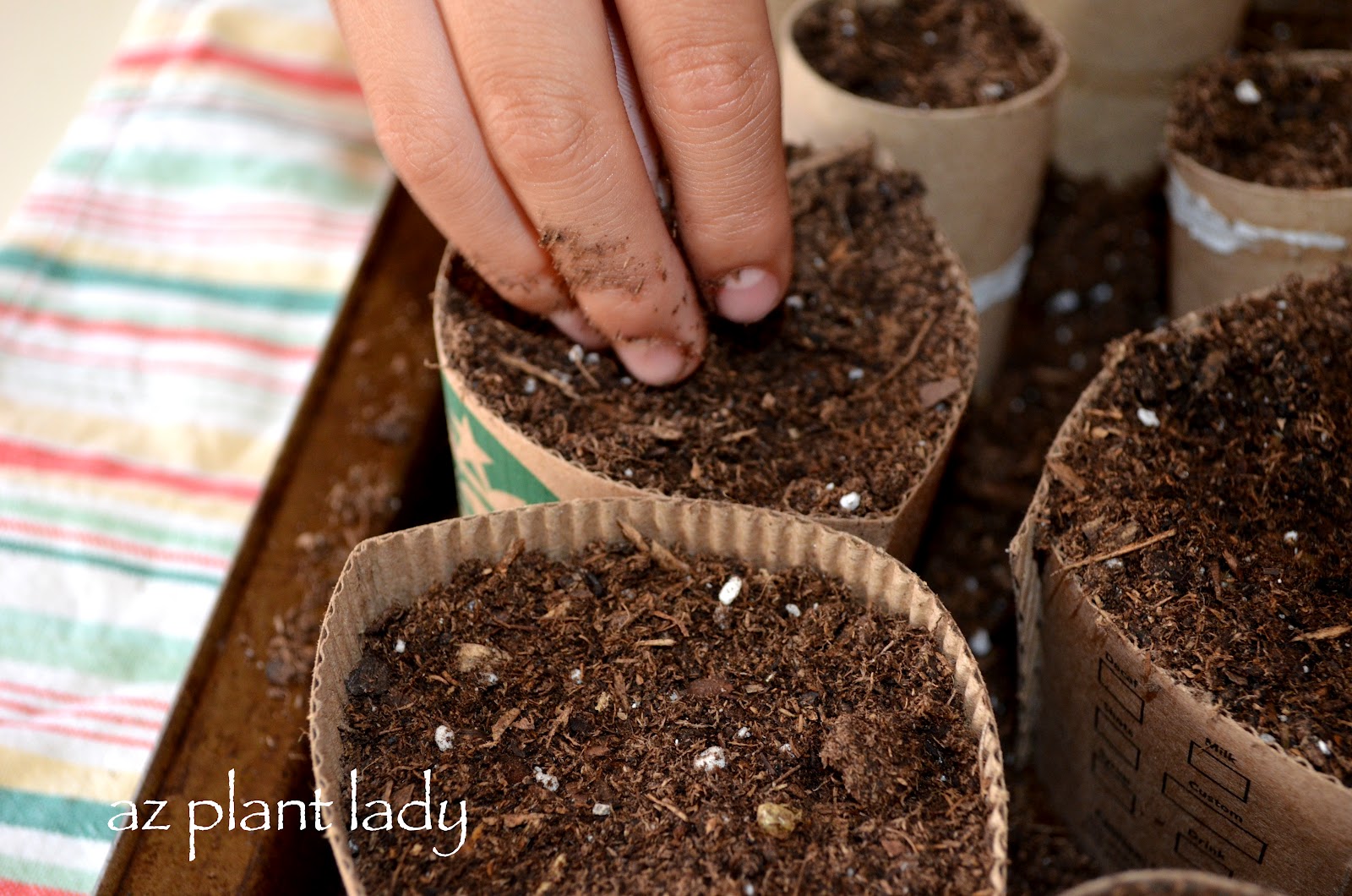 plant containers