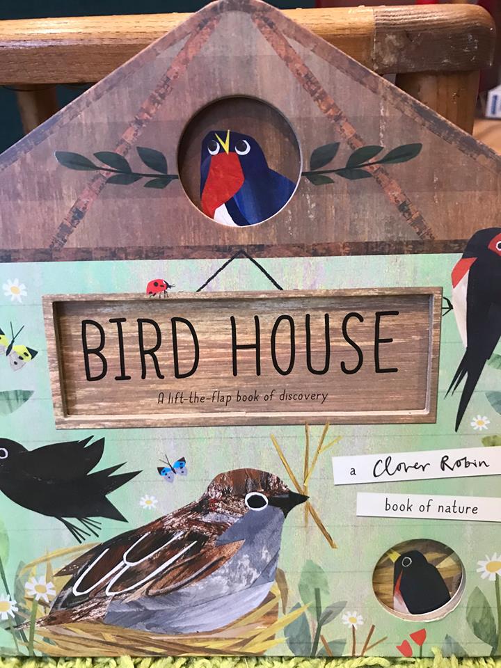 bird house 